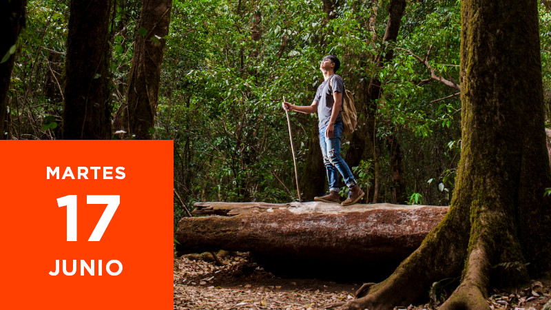 Webinar «Del Asombro a la Acción: Ecoturismo con Lupa y Conservación Biocultural»