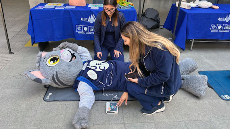 Cerca de mil personas participaron en la 15.ª Semana Saludable de la DAVE