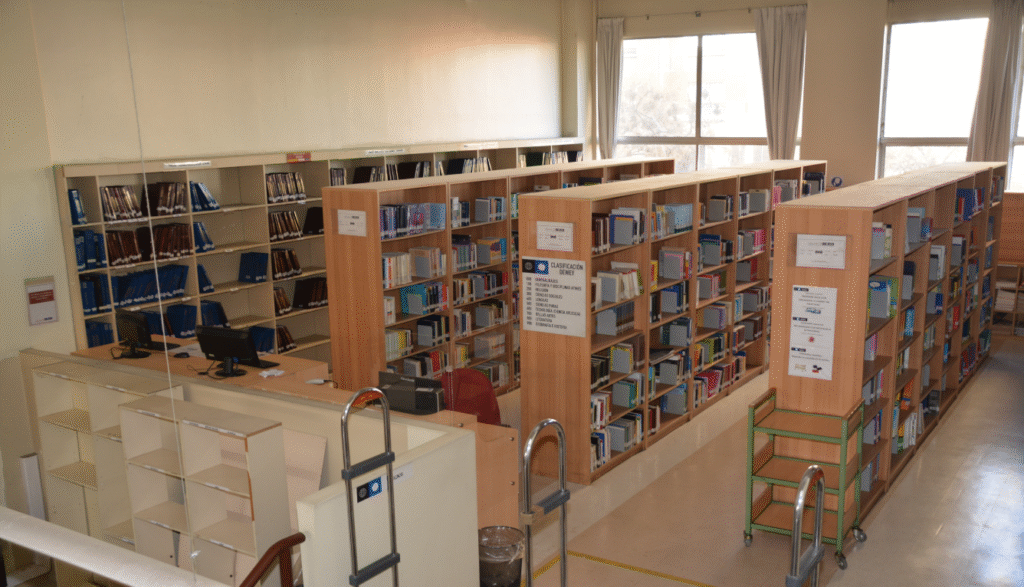 imagen_2025-11-01_012706339