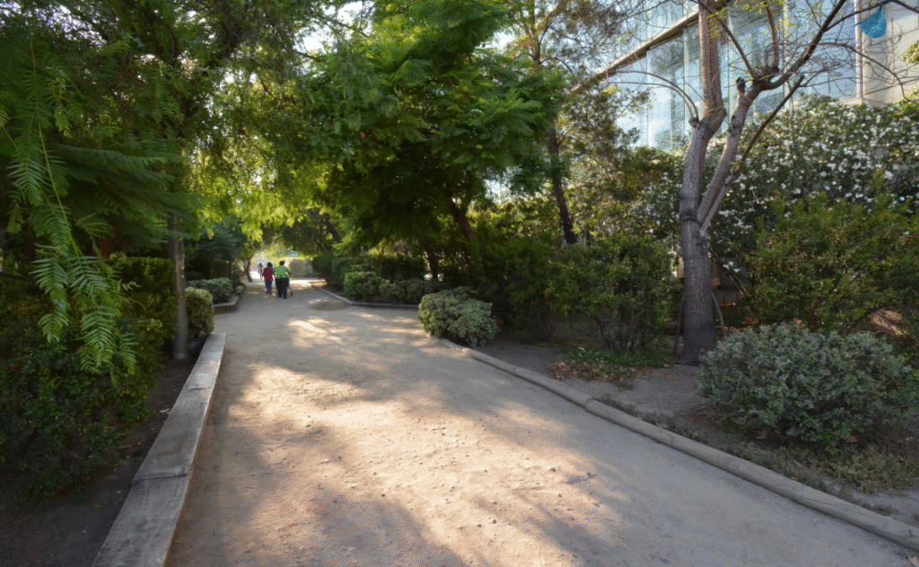 imagen_2025-11-01_014154394