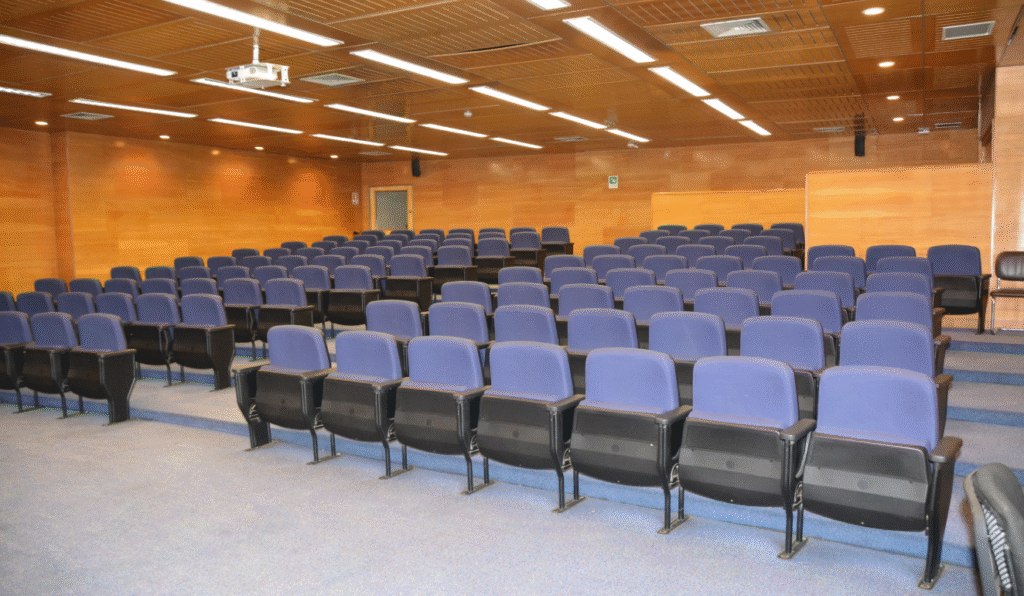 imagen_2025-11-01_014331288