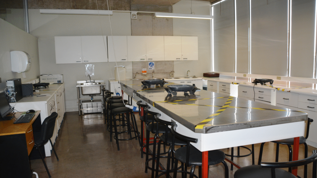 imagen_2025-11-02_001059403