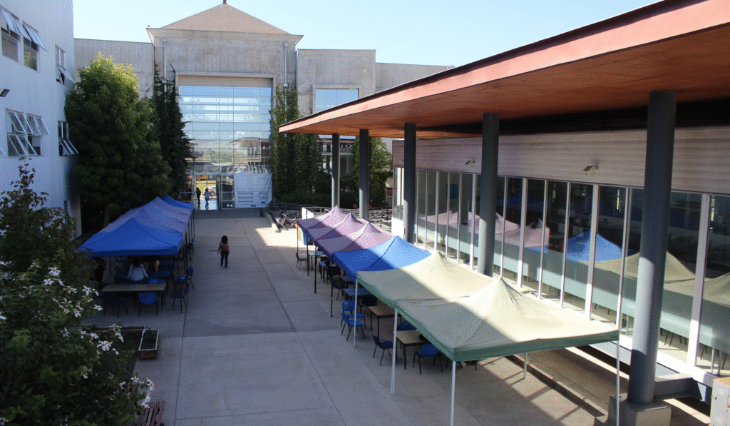 imagen_2025-11-02_015227143