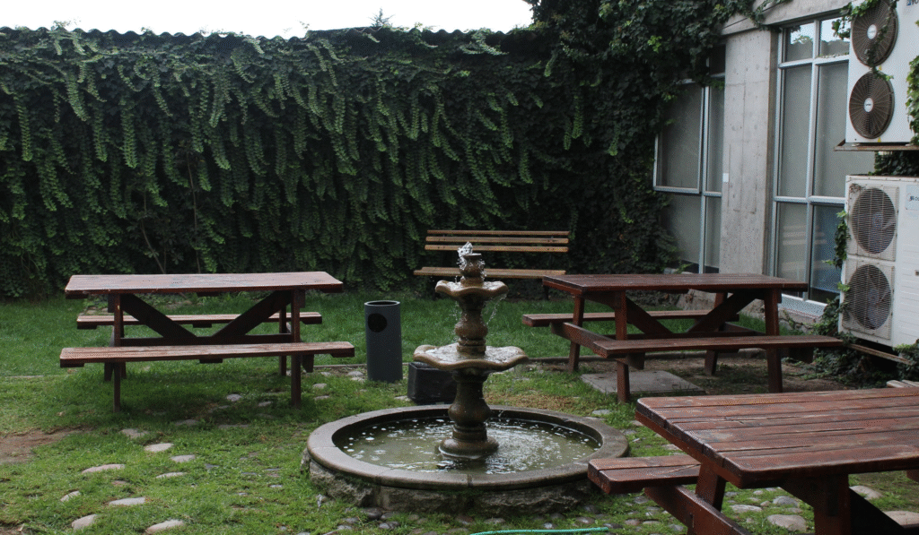 imagen_2025-11-02_015329700