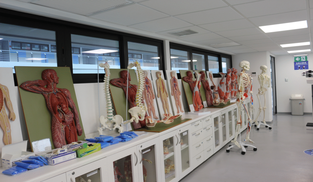 imagen_2025-11-03_003126170