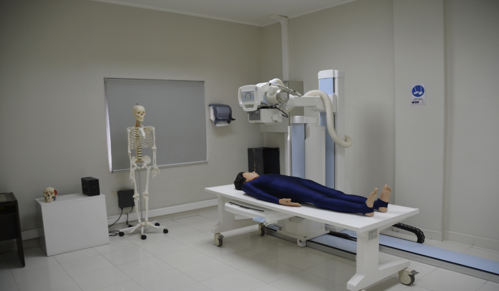 imagen_2025-11-11_140636521