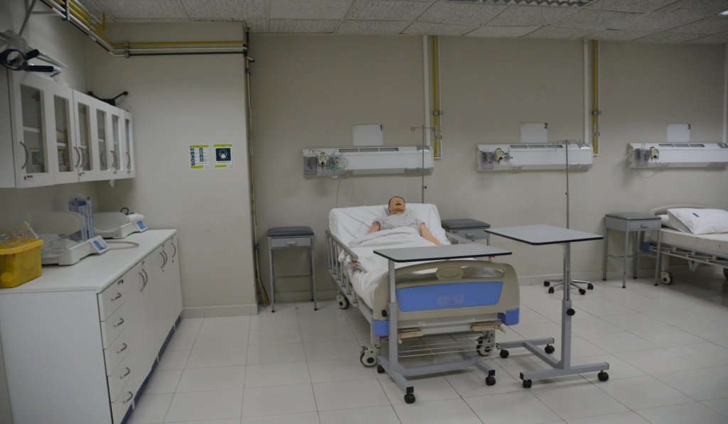 imagen_2025-11-11_140945233